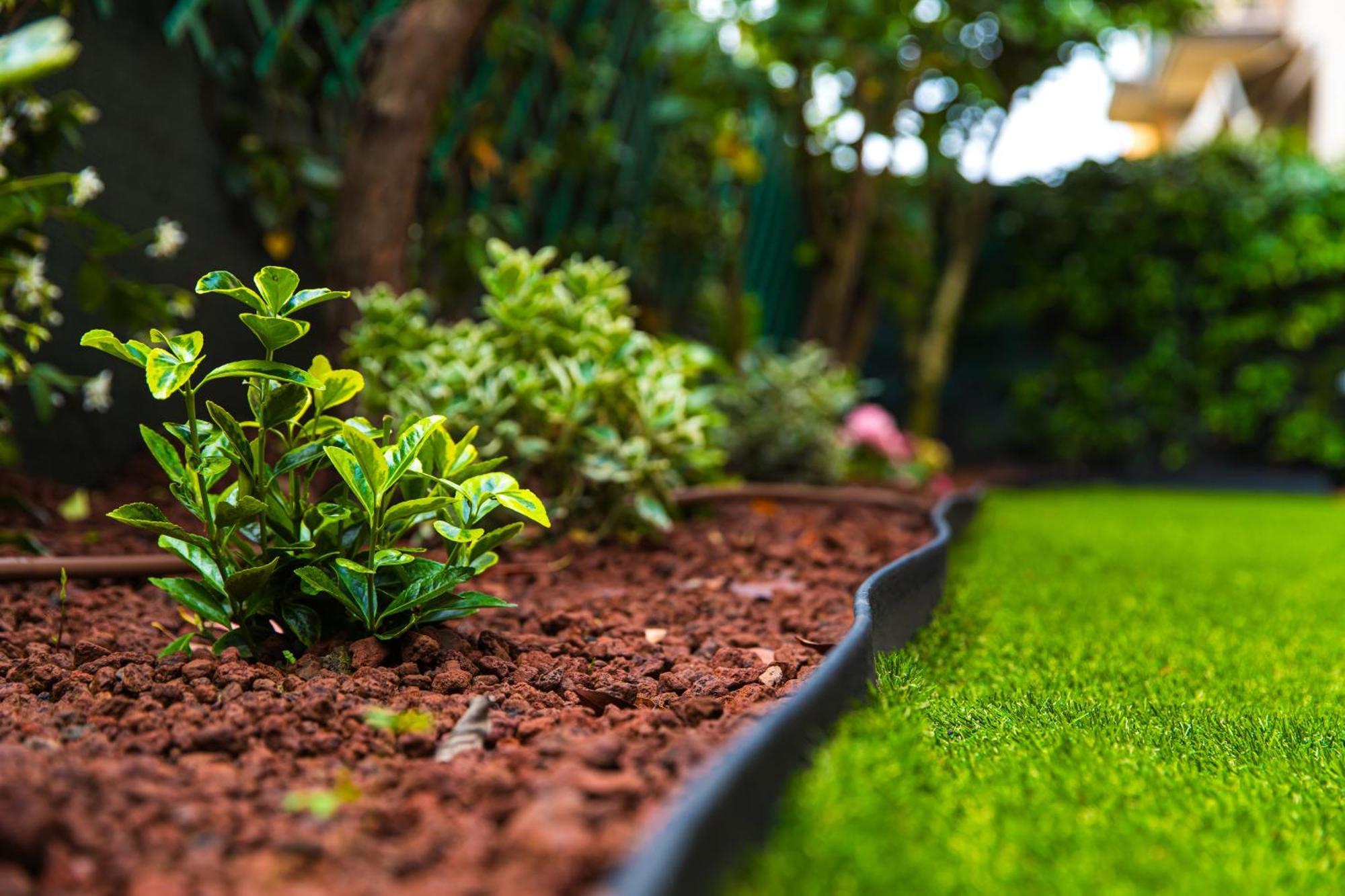 Urban Cottage Free Parking - Private Garden Bolonia Exterior foto